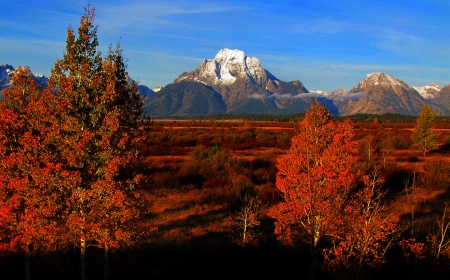 * Grand Teton National Park-WYOMING * - forest, mountains, nature, park