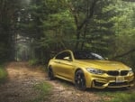 2015-Bmw-M4-Coupe