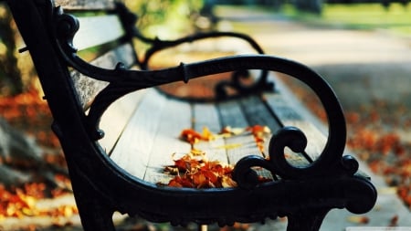 autumn_leaves_on_a_bench- - fall, autumn, park, leaves, bench