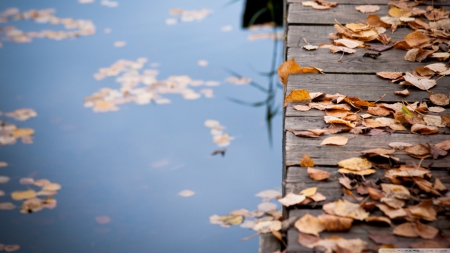 autumn_leaves_on_wooden_bridge - Autumn, Fall, leaves, bridge