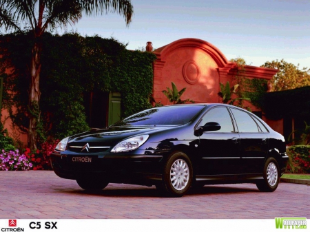 black citroen - tree, vine, house, citroen