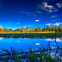 Superb Reflection in the lake