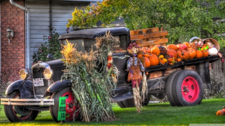 Pumpkin Trunk - scarecrow, pumpkins, fall, autumn, truck