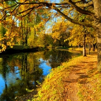 River in autumn park