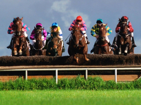 steeple race - jockey, steeple, horse, race