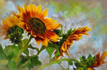 Sunflowers - pretty, sunflowers, sunny, beautiful, lovely, flowers, nature, painting, art