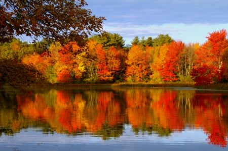 Autumn mirror - autumn, lake, sky, trees, serenity, nature, fall, forest, reflection, tranquil, mirror, beautiful, colors, lvoely