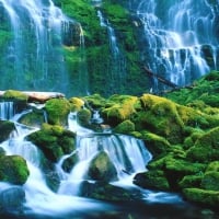 willamette national forest proxy falls