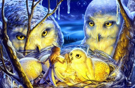 'Nest of Winter' - pretty, eggs, birds, winter, attractions in dreams, creative pre-made, paintings, digital art, lovely, xmas and new year, owl, fantasy, nest, love four seasons