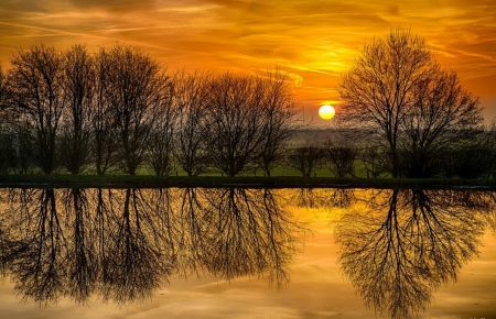 Reflection's Of Nature. - trees, nature, water, reflections