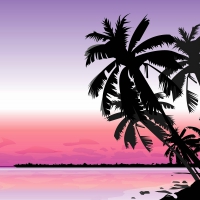 Palm Trees at Sunset