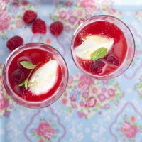 Raspberry Jelly with Vanilla Ice Cream