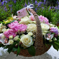 Basket with  flowers  for all my DN friends