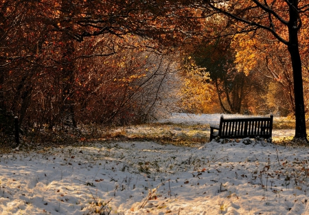 First Snow in Autumn - fall, trees, sunlight, leaves, bench, colors