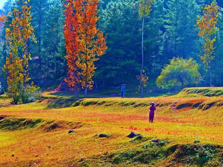 Autumn Landscape - fall, trees, people, leaves, colors