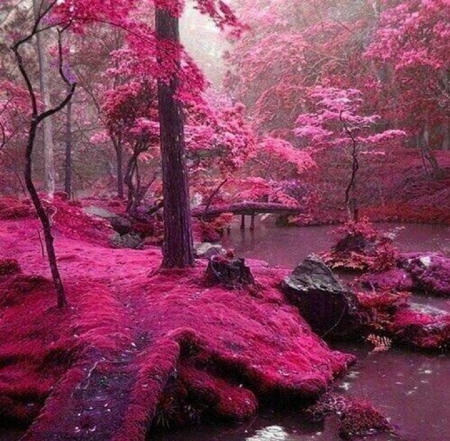 Pink River Bridge - river, trees, nature, pink, bridge