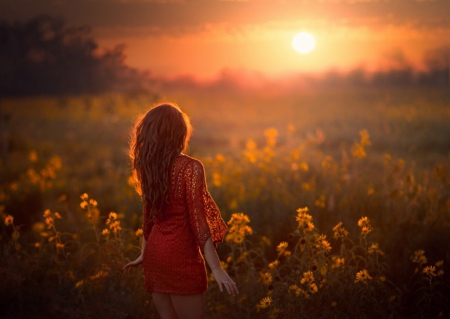 Red - woman, red, sun, field, flower