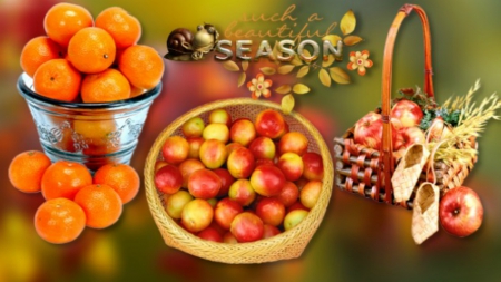 ~*~ Beautiful Season ~*~ - fall, apples, oranges, HD wallpaper, autumn, Beautiful Season