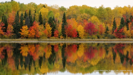 Autumn Lake Reflection - forests, trees, nature, autumn, lakes