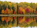 Autumn Lake Reflection