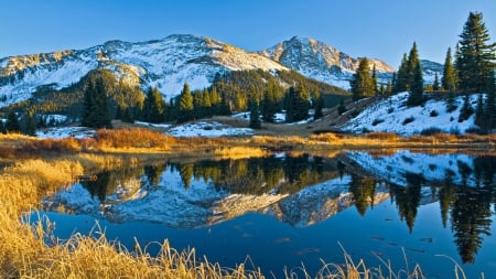 Mountain Lake - lake, trees, mountain, field, lovely, white, reflection, blue, snow