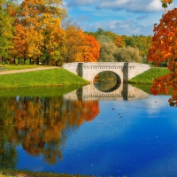 Autumn bridge