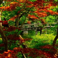 Autumn Park with Bridge