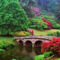 Bridge in Spring Park