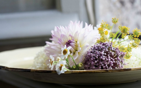 Beautiful Flowers in Plate - bloom, flowers, plate, petals