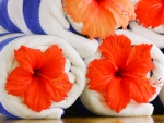 Beach Towels and Hibiscus Blossoms