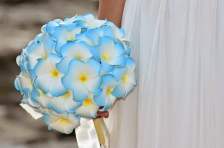 Wedding Bouquet - flowers, plumeria, wedding, bouquet, birdal