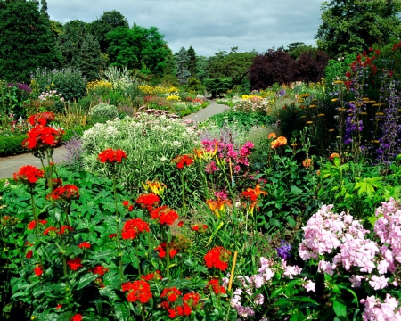 Beautiful flower in the Park - nature, park, flowers, garden