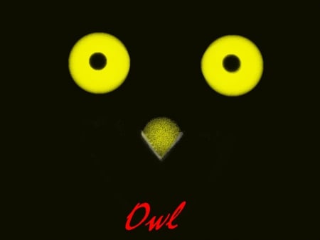 Owl - veloz, owl, fuerte, grande