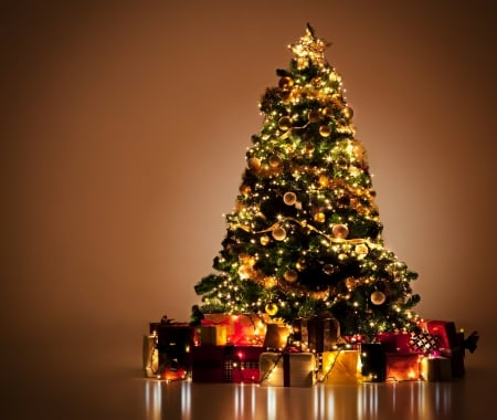 Xmas Tree - holiday, tree, gifts, christmas