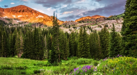 Mountain paradise - beautiful, majestic, landscape, slope, grass, lovely, mountain, wildflowers, nature, peak, cliffs, paradise, sky, rocks