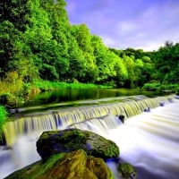 SPLENDID GREEN FOREST WATERFALL