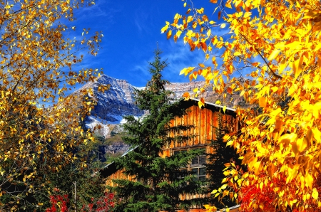 ✿⊱•╮╭•⊰✿ - fall, house, trees, nature, autumn, mountains