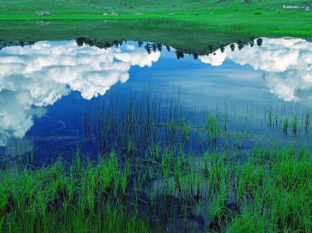 beautiful reflection - beautiful, lake, reflection, grass