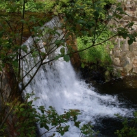 Wild Waterfall