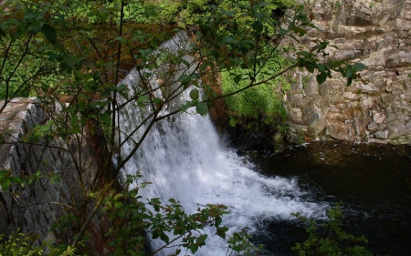 Wild Waterfall - nature, trees, waterfall, wild