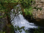 Wild Waterfall