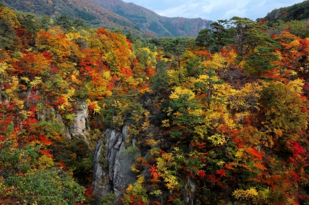 Japan, Miyagi Prefecture at Autumn - fall, trees, leaves, colors, mountains, rocks