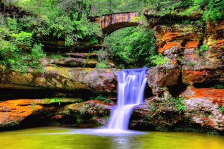 Waterfall - bridge, pond, trees, rocks