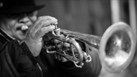 Senior Trumpetist - music, black, trumpet, instrument, white, man