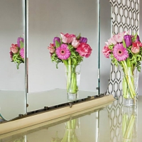 Flowers and Mirror