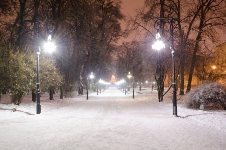 Winter Park - trees, winter, lights, snow, night, pathway, park, sky