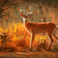 Deer in autumn forest