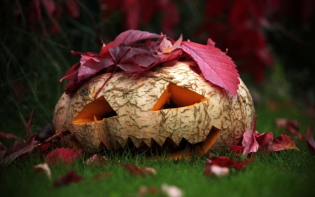 Happy Halloween! - red, toamna, halloween, pumpkin, grass, leaf, smile, autumn, green