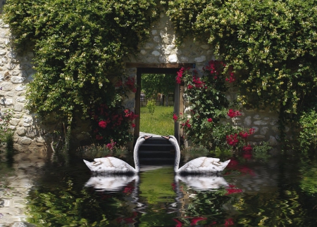 Home at last.. :) - house, water, ponds, flowers, stonehouse, swans, white, garden, two, couple