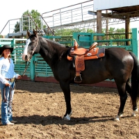 Rodeo Cowgirl